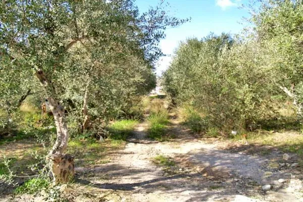 1,537 m² Plot for Sale in Almyrida, Apokoronas — photo 3