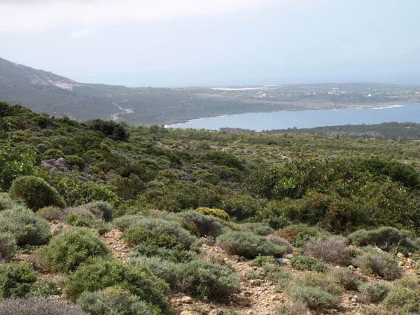 Seafront 786,000 m² Land for Sale in Kissamos, Chania — photo 2