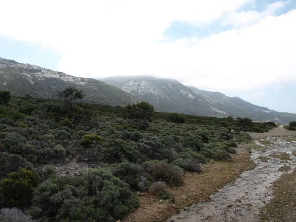 Seafront 786,000 m² Land for Sale in Kissamos, Chania — photo 5