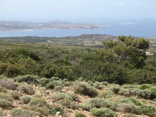 Seafront 786,000 m² Land for Sale in Kissamos, Chania — photo 3