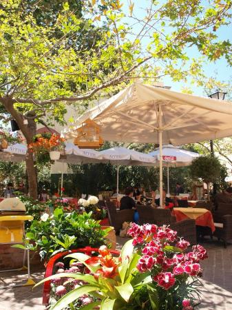 Business for Sale in Old Town, Chania — photo 2
