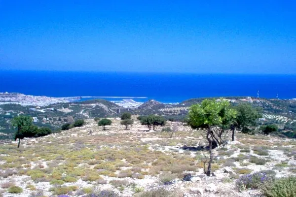 Seafront 228,800 m² Land for Sale in Mikra Anogia, Rethymnon