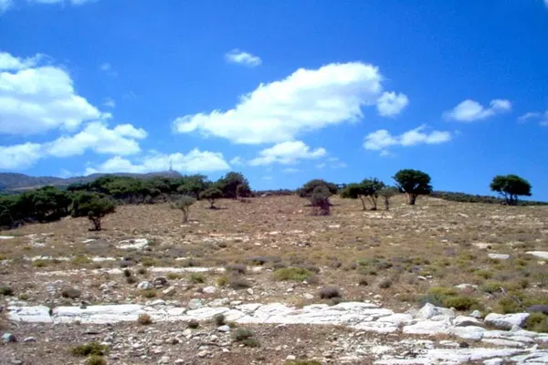 Seafront 228,800 m² Land for Sale in Mikra Anogia, Rethymnon — photo 4