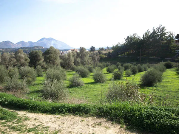 Seafront 3,940 m² Plot of Land for Sale in Perama, Rethymnon — photo 5