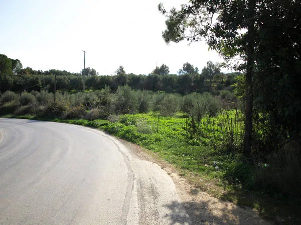 Seafront 34,533 m² Plot of Land for Sale in Perama, Rethymnon