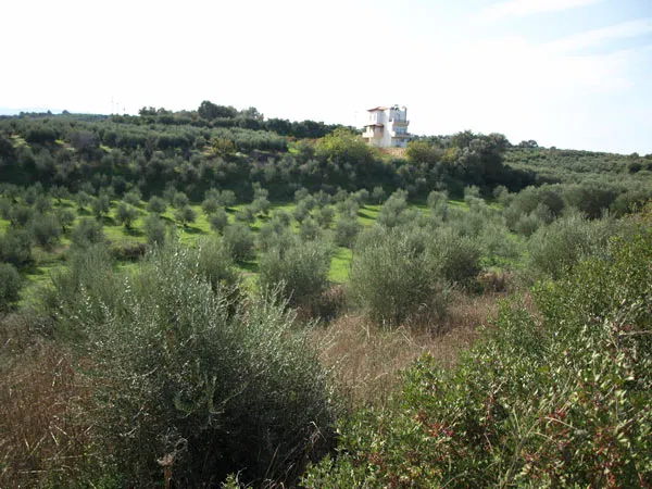 Seafront 34,533 m² Plot of Land for Sale in Perama, Rethymnon — photo 4