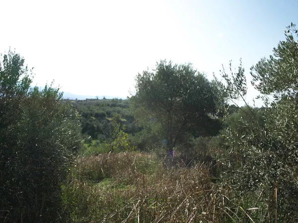 Seafront 34,533 m² Plot of Land for Sale in Perama, Rethymnon — photo 2