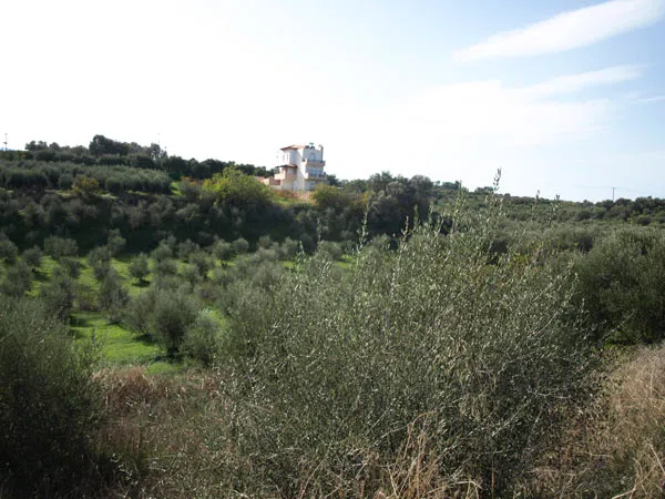 Seafront 34,533 m² Plot of Land for Sale in Perama, Rethymnon — photo 3
