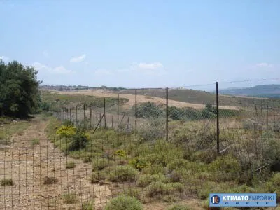 Seafront 100,000 m² Plot of Land for Sale in Paradisos, Rethymnon — photo 2