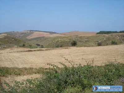Seafront 100,000 m² Plot of Land for Sale in Paradisos, Rethymnon — photo 4