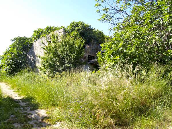 Seafront Villa for Sale in Nippos, Apokoronas — photo 4
