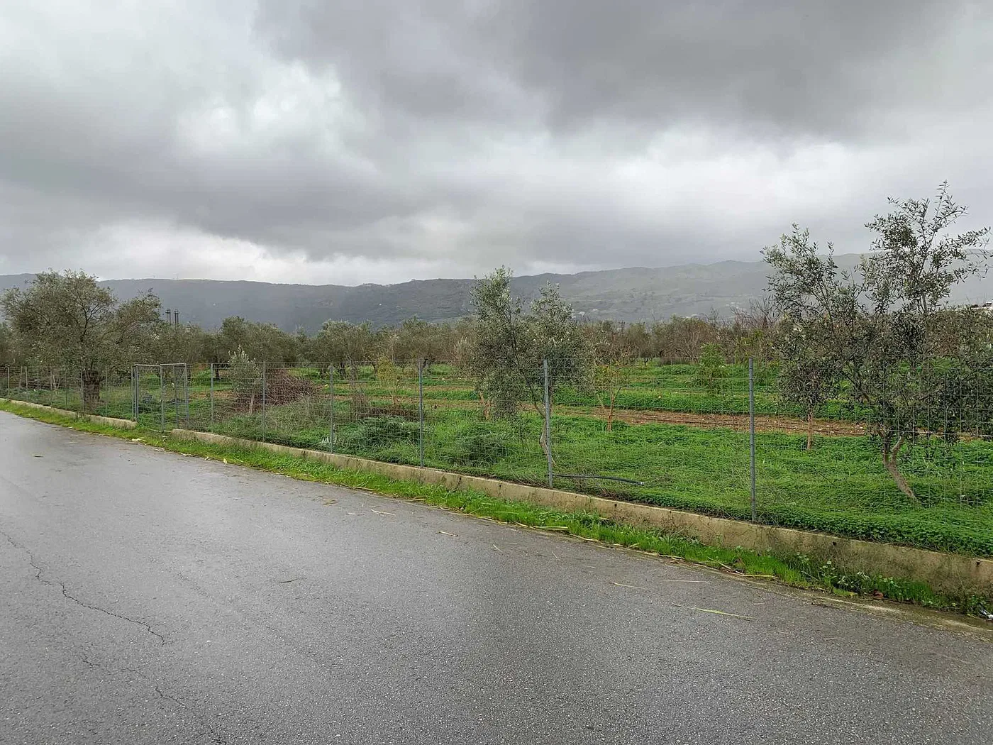 10,500 m² Land for Sale in Souda, Chania