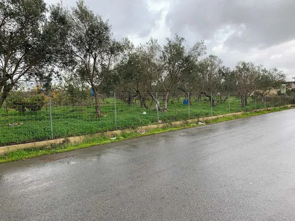 10,500 m² Land for Sale in Souda, Chania — photo 3