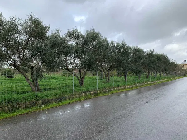 10,500 m² Land for Sale in Souda, Chania — photo 4