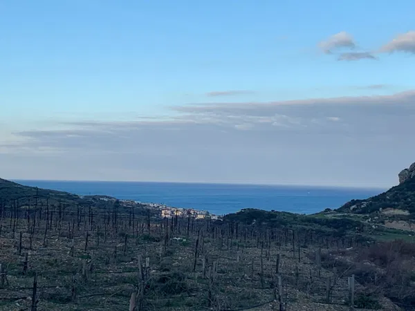 Seafront 101,000 m² Plot of Land for Sale in Kolymbari, Platanias — photo 4