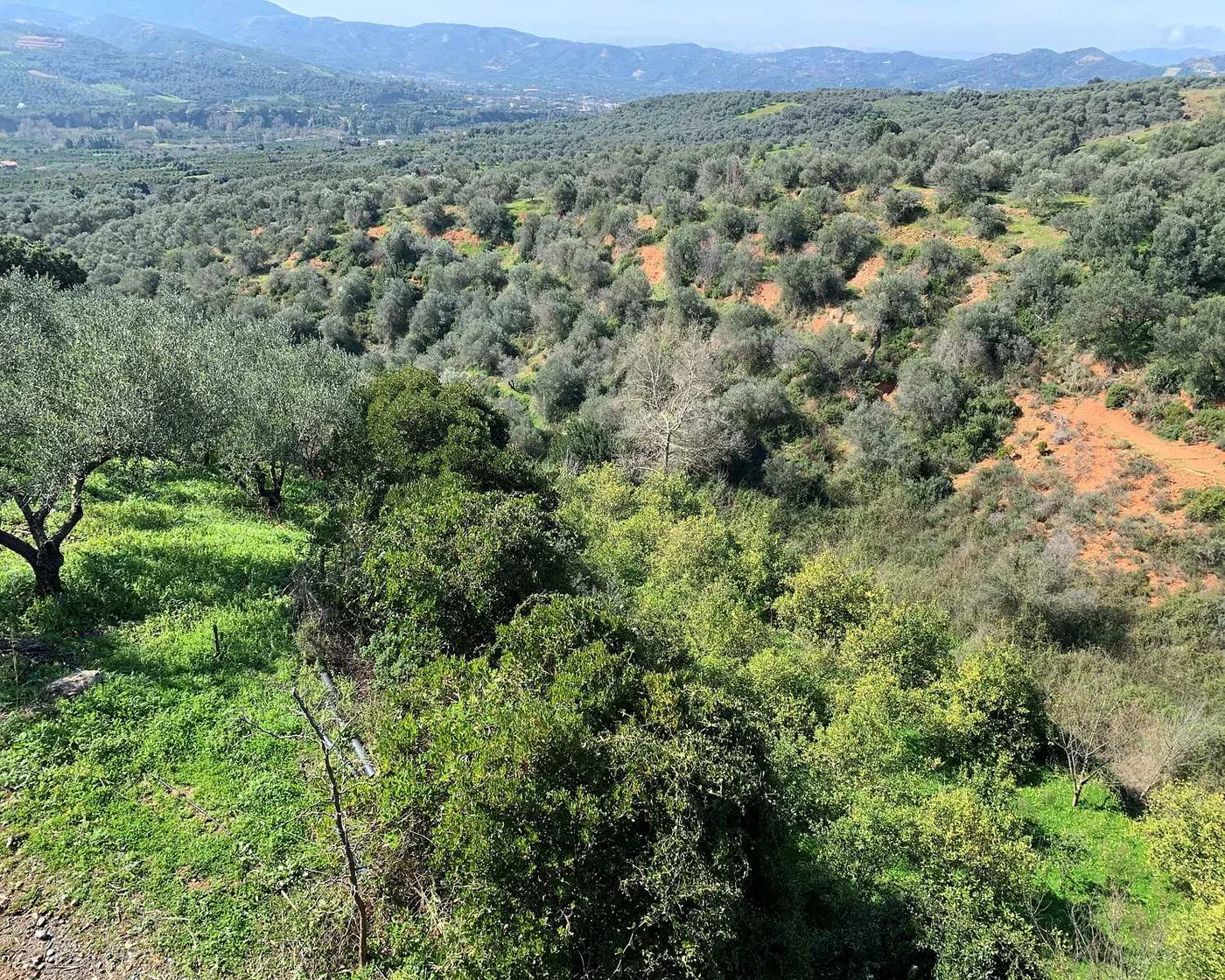 20,000 m² Plot of Land for Sale in Fournes, Chania