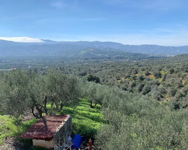 20,000 m² Plot of Land for Sale in Fournes, Chania — photo 2