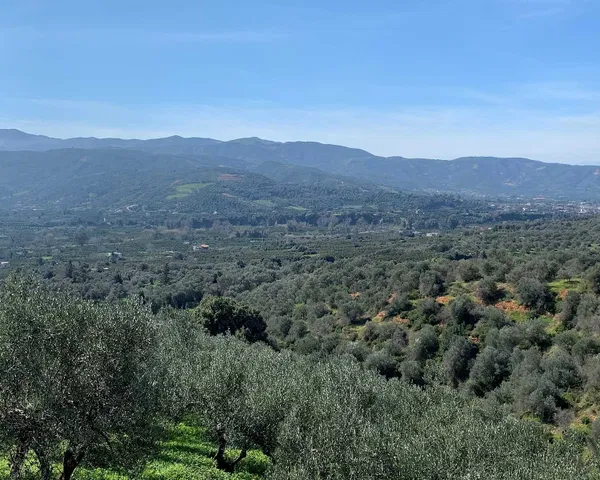 20,000 m² Plot of Land for Sale in Fournes, Chania — photo 4
