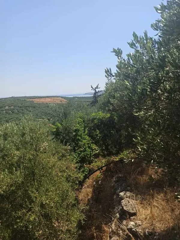 6,800 m² Land for Sale in Armenoi, Apokoronas — photo 5