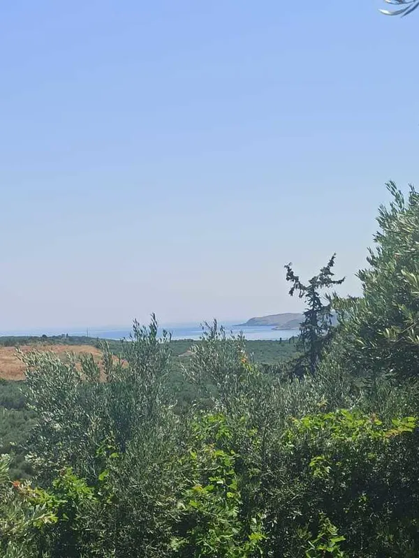 6,800 m² Land for Sale in Armenoi, Apokoronas