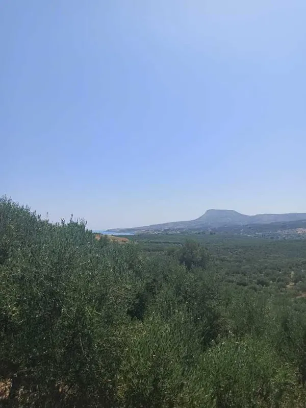 6,800 m² Land for Sale in Armenoi, Apokoronas — photo 2