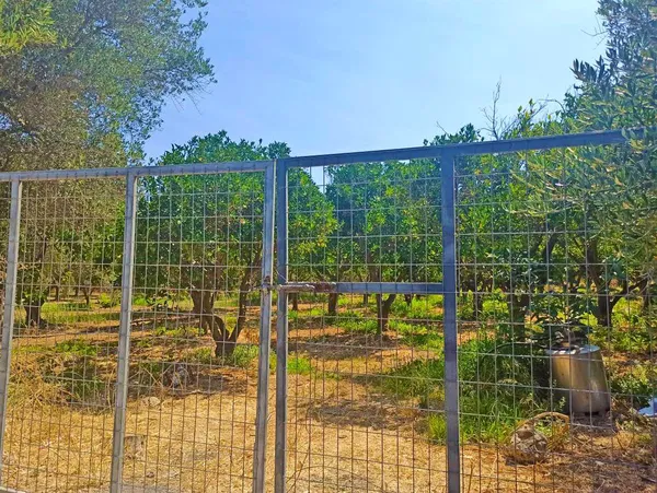 5,601 m² Plot for Sale in Perivolia, Chania — photo 2