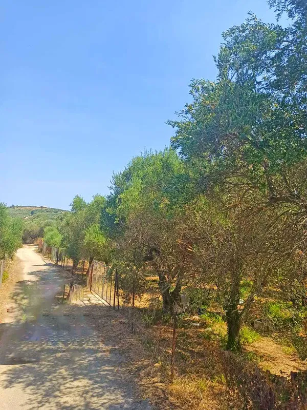 5,601 m² Plot for Sale in Perivolia, Chania — photo 3