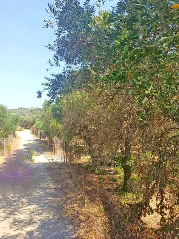 5,601 m² Plot for Sale in Perivolia, Chania