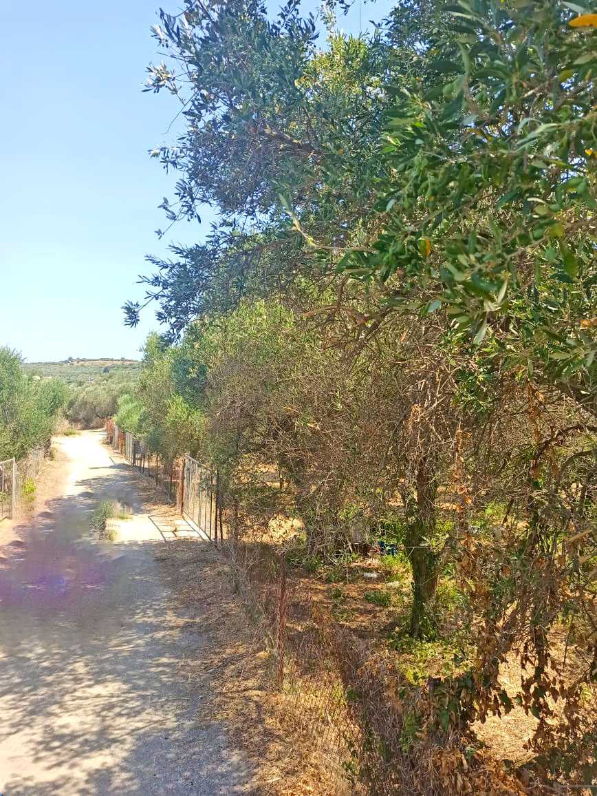 5,601 m² Plot for Sale in Perivolia, Chania
