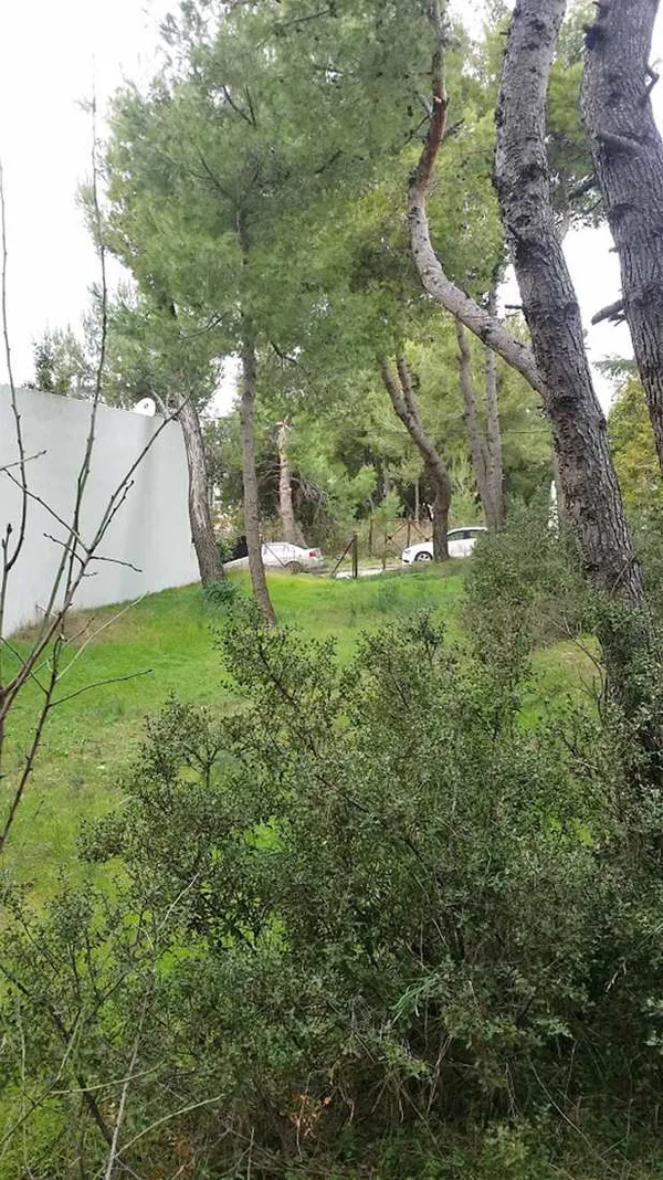 350 m² Land for Sale in Anixi, Athens Northern suburbs — photo 2