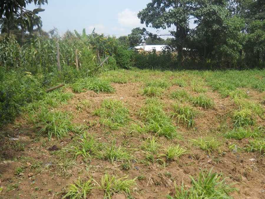 854 m² Plot for Sale in Kifisia, Athens Northern suburbs