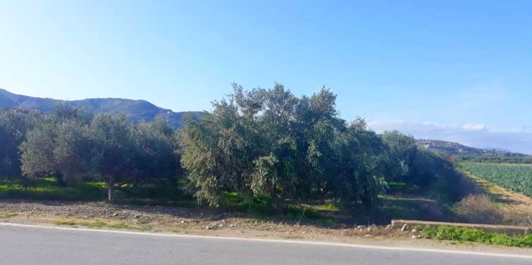 276 m² Plot for Sale in Kifisia, Athens Northern suburbs