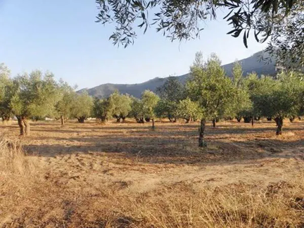 350 m² Plot of Land for Sale in Kifisia, Athens Northern suburbs