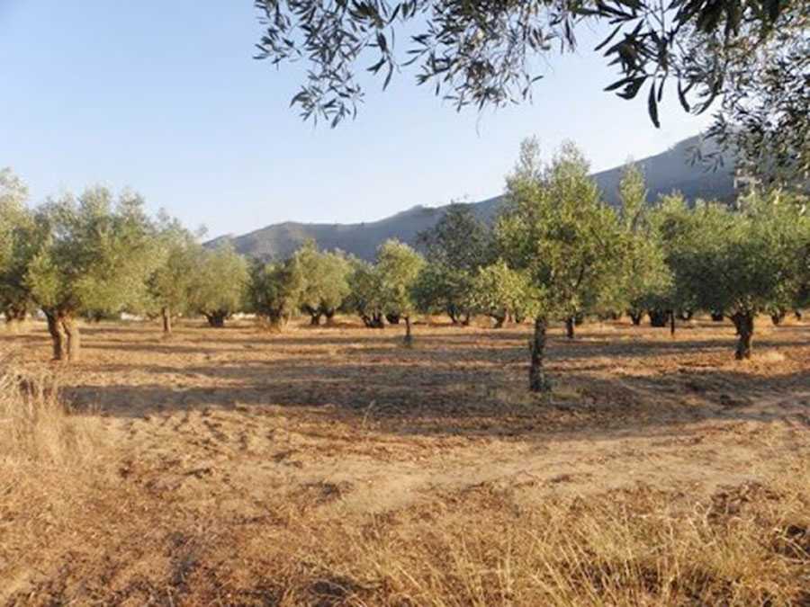 350 m² Plot of Land for Sale in Kifisia, Athens Northern suburbs