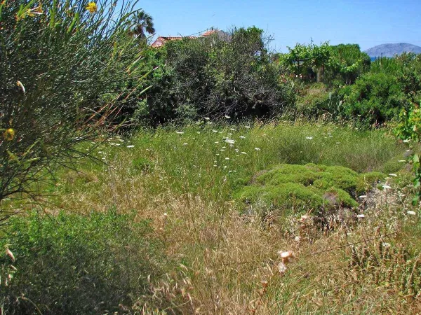 668 m² Plot for Sale in Kifisia, Athens Northern suburbs