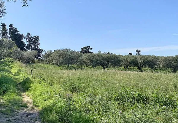 1,033 m² Plot of Land for Sale in Ekali, Athens Northern suburbs