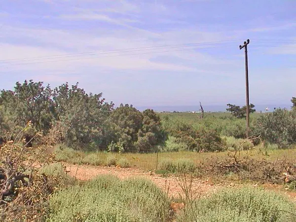 535 m² Plot of Land for Sale in Drosia, Athens Northern suburbs