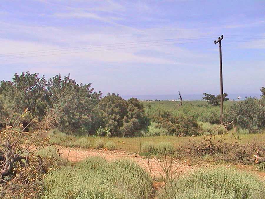 535 m² Plot of Land for Sale in Drosia, Athens Northern suburbs