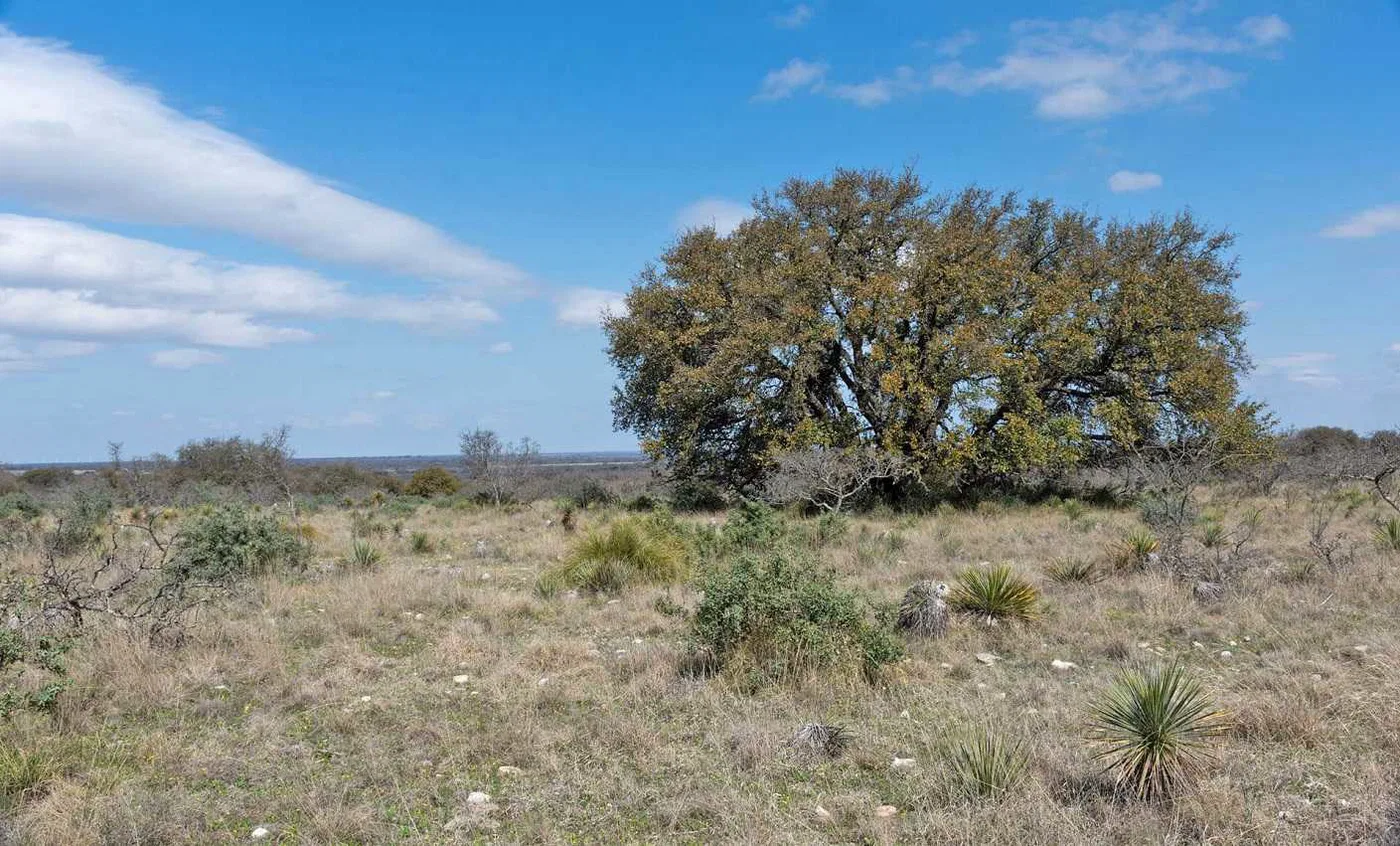 1,000 m² Plot of Land for Sale in Drosia, Athens Northern suburbs
