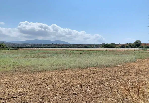 820 m² Plot for Sale in Dionysos, Athens Northern suburbs