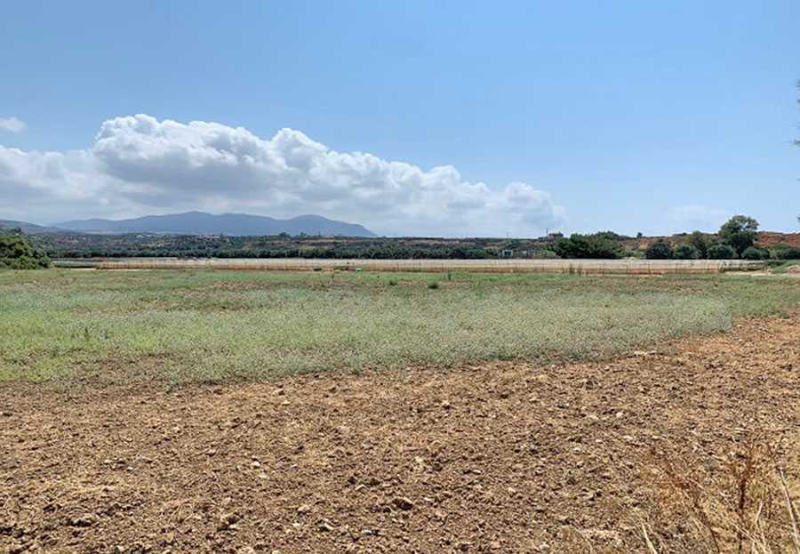 820 m² Plot for Sale in Dionysos, Athens Northern suburbs