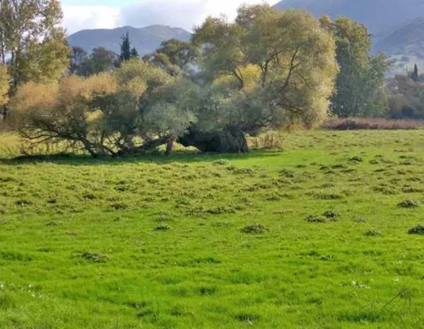503 m² Plot for Sale in Voula, Athens Southern suburbs