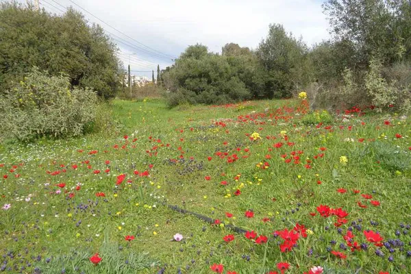 342 m² Land for Sale in Glyfada, Athens Southern suburbs