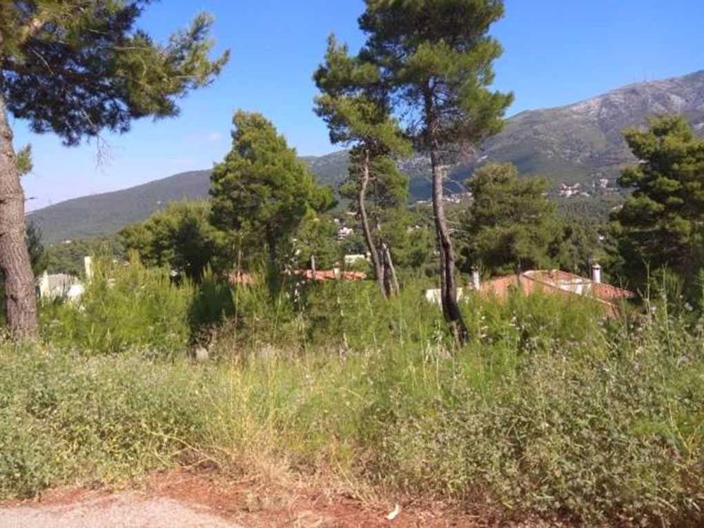 1,000 m² Land for Sale in Dionysos, Athens Northern suburbs
