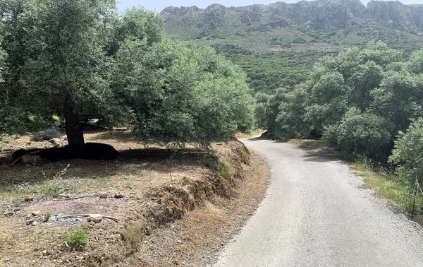 346 m² Land for Sale in Paleochora, Kandanos-Selino