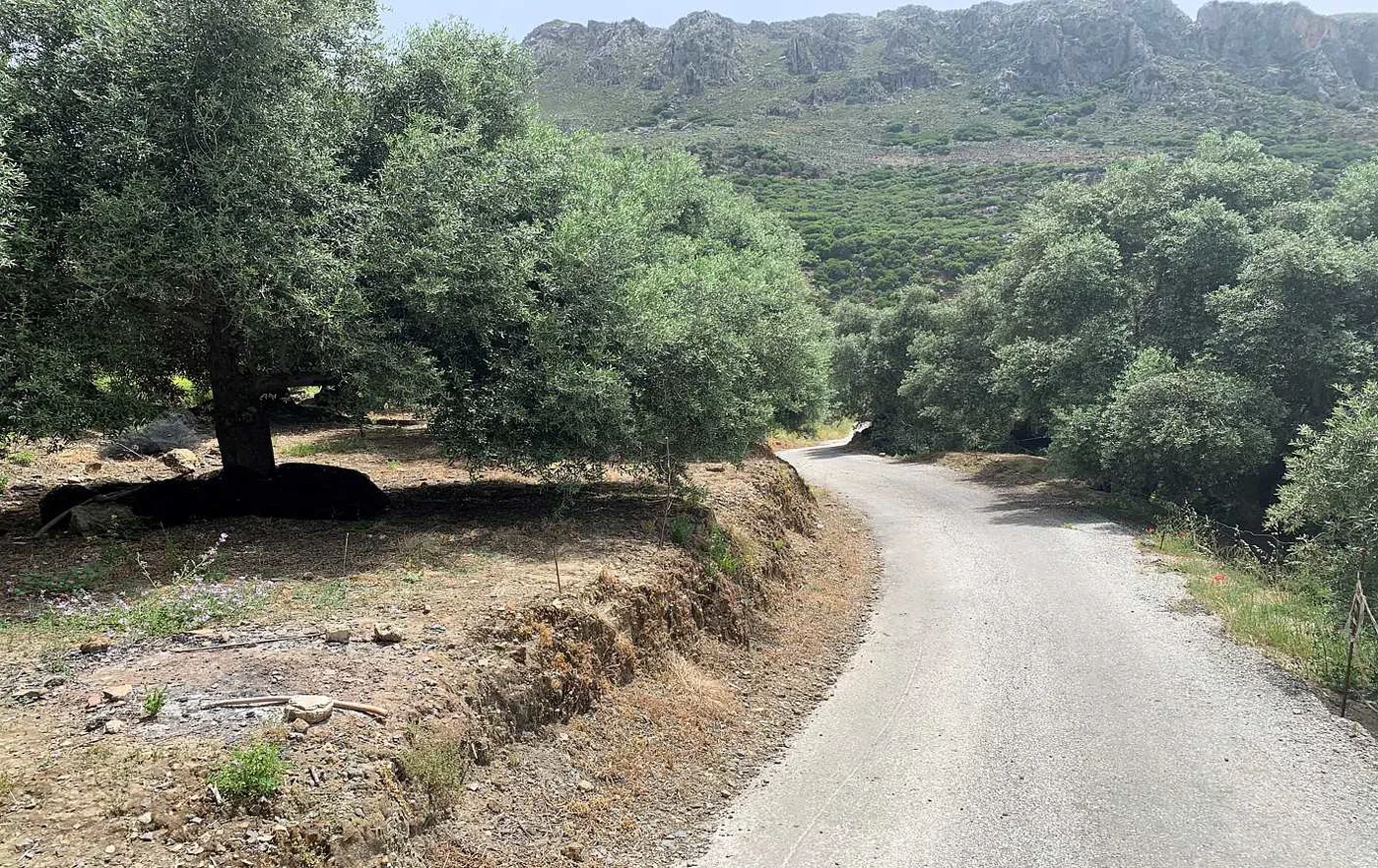 346 m² Land for Sale in Paleochora, Kandanos-Selino