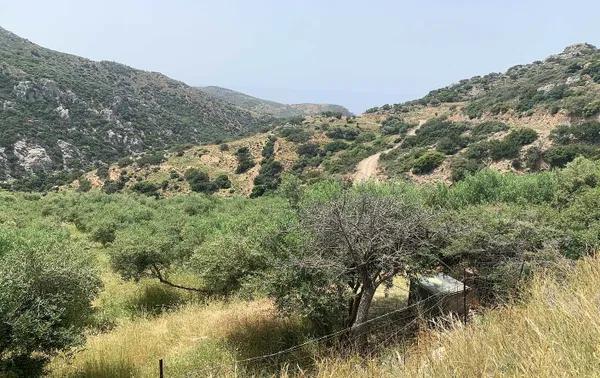 3,379 m² Plot for Sale in Paleochora, Kandanos-Selino — photo 2