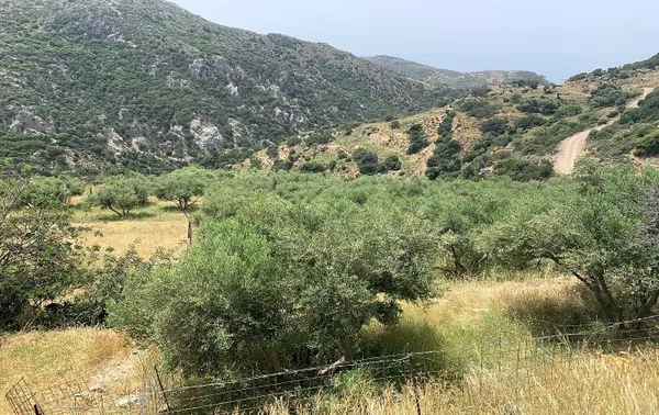 3,379 m² Plot for Sale in Paleochora, Kandanos-Selino — photo 5