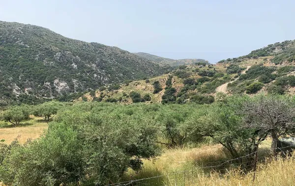 3,379 m² Plot for Sale in Paleochora, Kandanos-Selino — photo 4