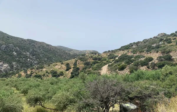 3,379 m² Plot for Sale in Paleochora, Kandanos-Selino — photo 3